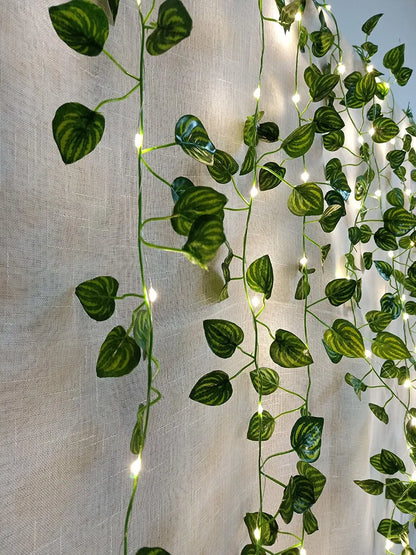 Decorative Vine Plants with Lights